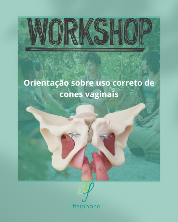 Workshop: Cones Vaginais e Assoalho Pélvico
